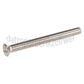 Foto van Dps Schroef M6 x 65mm -RVS- 