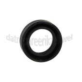 Foto van Karcher Ring bij zuiger 