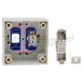 Foto van Hirschmann Einddoos Modulaire coax en data wandcontactdoos (shop) Incl. witte afdekplaat en opbouwrand 