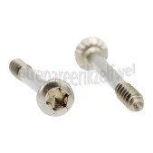 Foto van Bosch Schroef Voor binnendeur SPI69T05EU, SX65M031EU, SPV43E00EU 