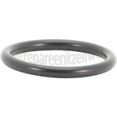 Foto van DeLonghi Afdichting Zetgroep ECAM22110B, ECAM25041TB 
