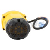 Foto van Dewalt Motor Compleet D27107 