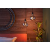 Foto van Calex Ledlamp Pebble Flex Filament Titanium E27 4W 70lm 1800K Dimbaar 