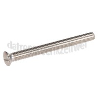 Foto van Dps Schroef M6 x 65mm -RVS- 
