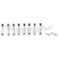 Foto van Bosch Zekering Keramisch 6x32, 10 Ampere Flink HF22534, HMT9850 