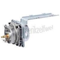 Foto van DeLonghi Verwarmingselement Boiler, 1000W ECP3321, ECP3531 