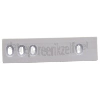 Foto van Gorenje Geleider Voor deur koelkast RI2205W, RI4224W 