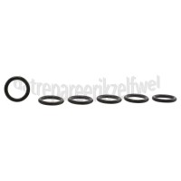 Foto van Karcher O-ring 2x10 mm, 6 stuks K4700EU, K5500EU 