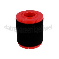 Foto van MTD Filter Luchtfilter, met Voorfilter MTD / Powermore motoren 