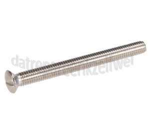 Foto van Dps Schroef M6 x 65mm -RVS- 