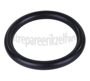 Foto van AEG O-ring Van waterreservoir TCS683LT, Z400CDE, Z300CD 