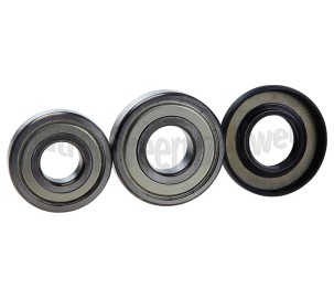 Foto van Bosch Lagerset Lagerset compleet WH55690, WM55690, WFL2850 