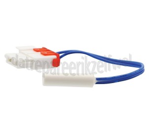Foto van Voeler Temperatuurvoeler RS21DPMS, RSH1NBBP 
