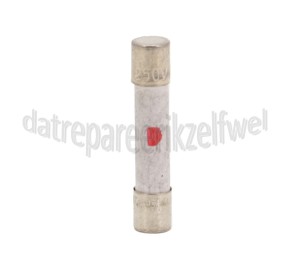 Foto van Samsung Zekering 10 Ampere M1777N, CE2727N 