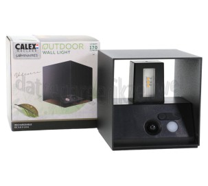 Foto van Calex Lamp Outdoor Wandlamp Motion Sensor, IP44, 170 Lumen, 3000K, 1,5W 