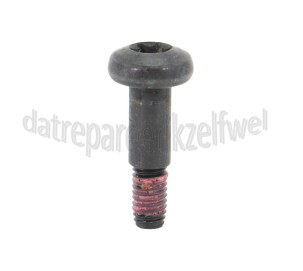 Foto van Dewalt Schroef Torx T30 D27105, D27107 