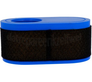 Foto van MTD Filter Luchtfilter, met Voorfilter MTD / ThorX 4P90 motoren 