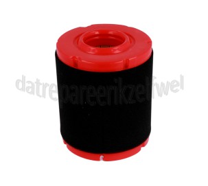 Foto van MTD Filter Luchtfilter, met Voorfilter MTD / Powermore motoren 