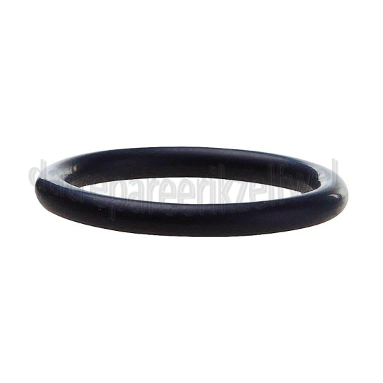Foto van Karcher O-ring EPDM 22x3 SC1010, SC1020, SC2500C 