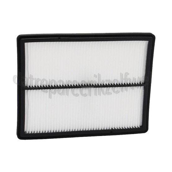 Foto van AEG Filter Van stofcontainer RX91IBM, RX814WN, PI915SGM 