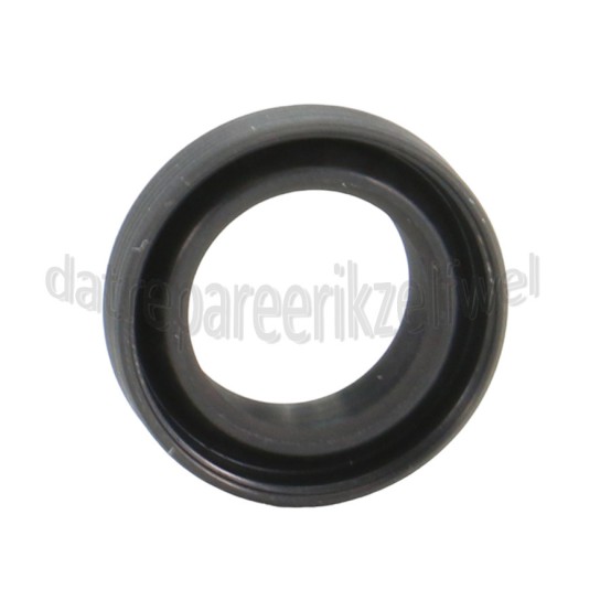 Foto van Karcher Afdichtingsring In cilinderkop K2300EU, K214EU 