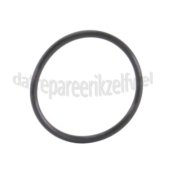 Foto van Karcher O-ring 21x1,5 mm WV2EU, HDS10204MEUI 