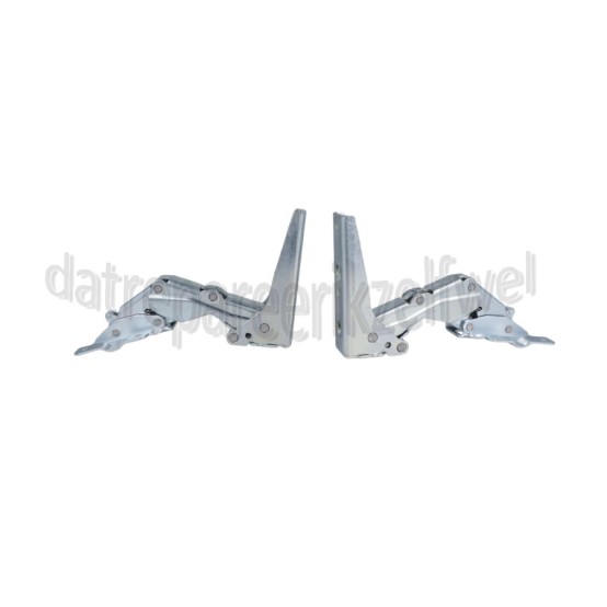 Foto van Gorenje Scharnier Set -links en rechts- RBIU6134W, RIU6154W 