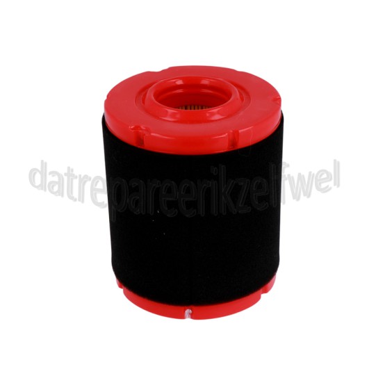 Foto van MTD Filter Luchtfilter, met Voorfilter MTD / Powermore motoren 