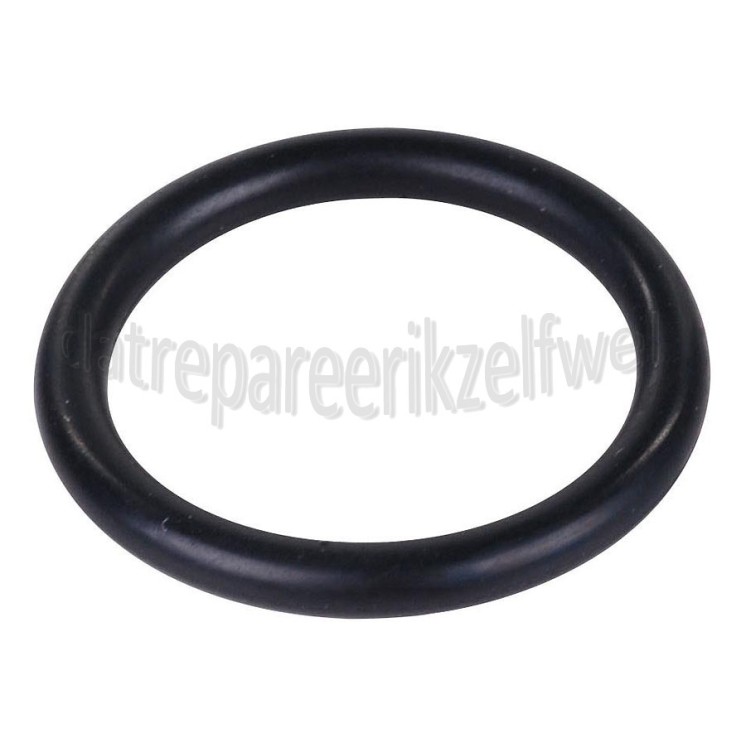 Foto van AEG O-ring Van waterreservoir TCS683LT, Z400CDE, Z300CD 